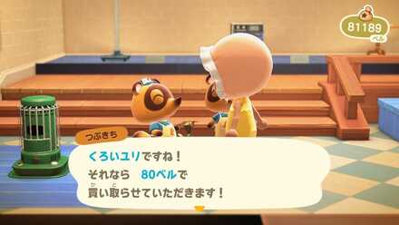 黒いユリの作り方