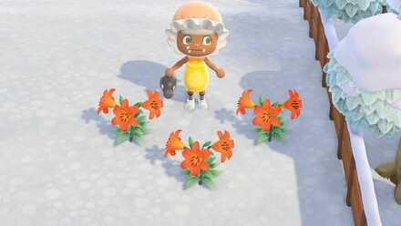 オレンジのユリの作り方