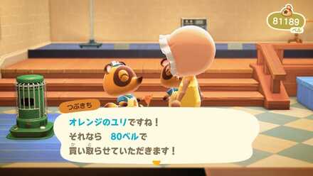 オレンジのユリの作り方