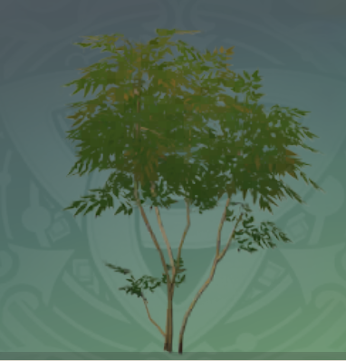 茂生櫨青の画像