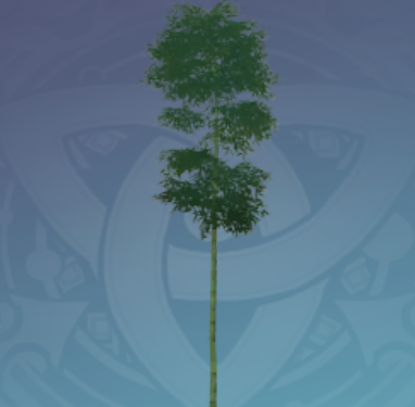 軽策行雲竹の画像