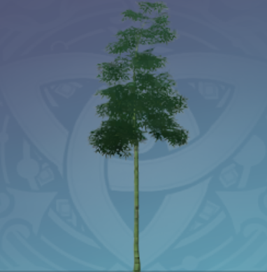 軽策鷺頭竹の画像