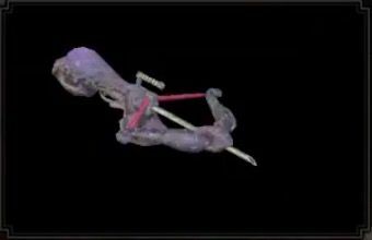 カーマエレオーンⅠの画像