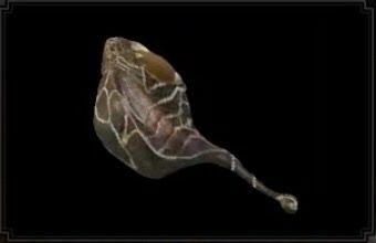 コロサル＝ダオラの画像