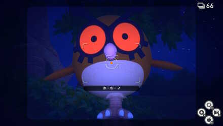 ズームを活用する