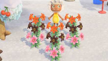 ピンクのユリの作り方