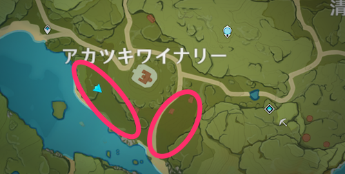 アカツキワイナリー周辺