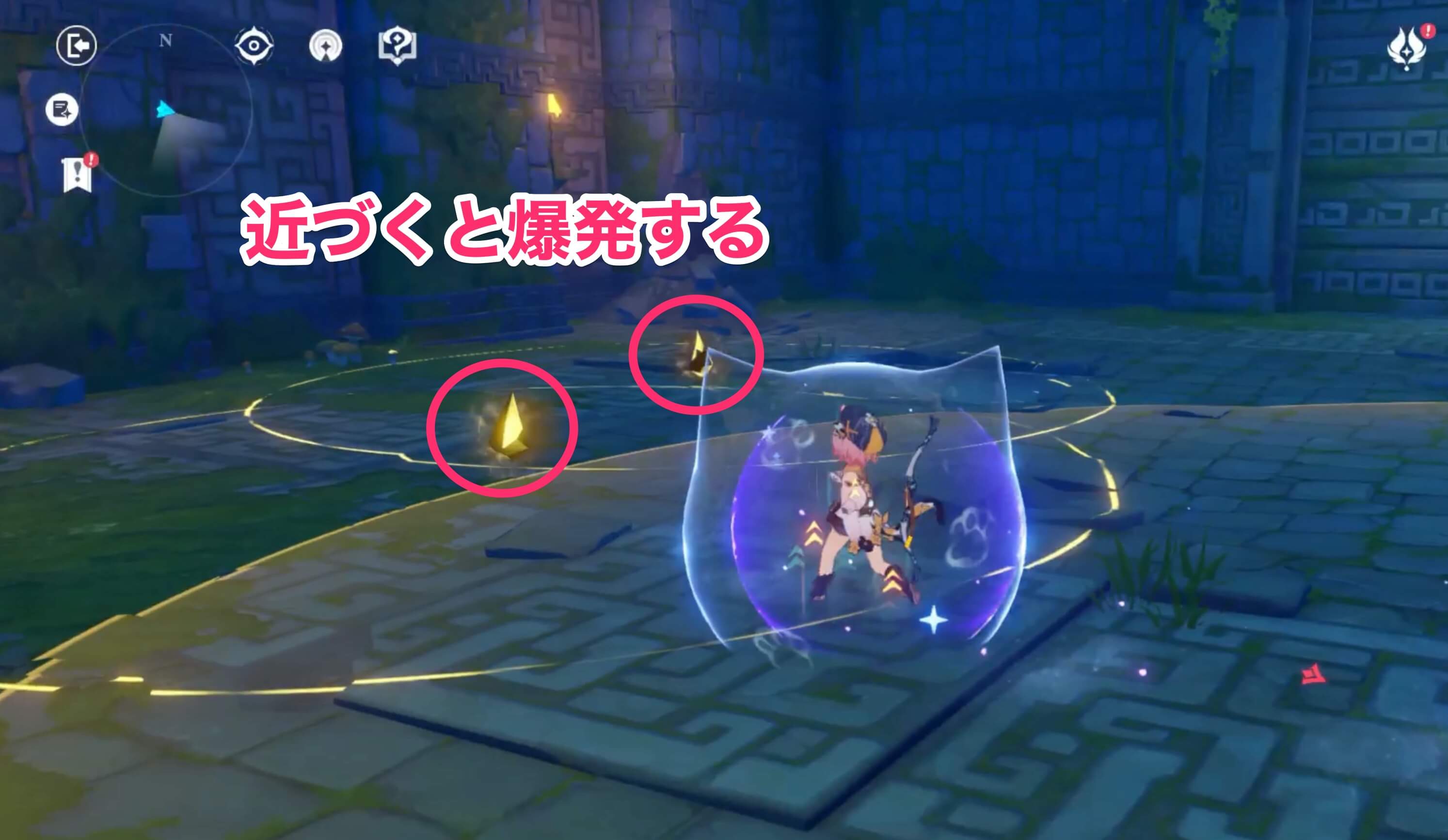 ベビーヴィシャップを倒した後晶核に注意