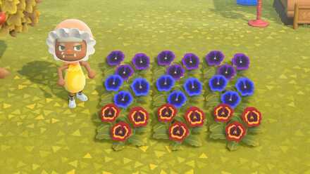 紫のパンジーの作り方