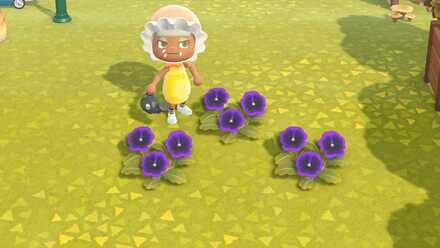 紫のパンジーの作り方