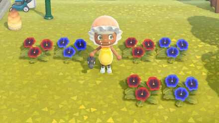 紫のパンジーの作り方