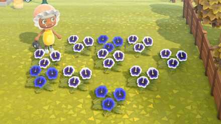 紫のパンジーの作り方