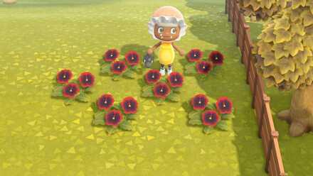 紫のパンジーの作り方