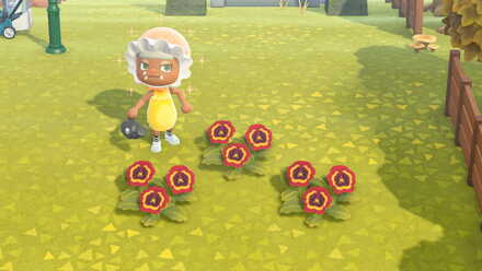 赤黄色パンジーの作り方