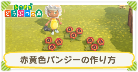 赤黄色パンジーの作り方