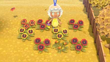 赤黄色パンジーの作り方