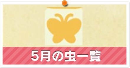 虫一覧