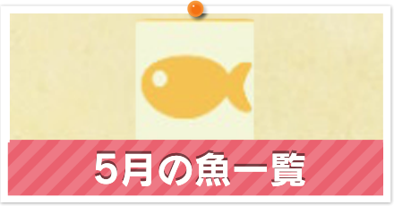 魚一覧