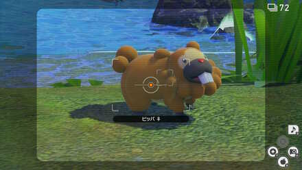 サーチに反応している