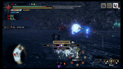 ヌシタマミツネ大技