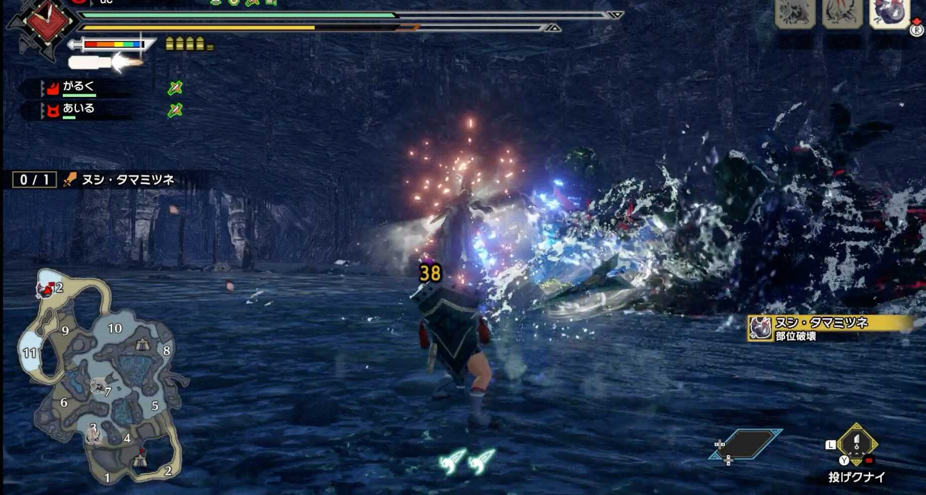 ヌシタマミツネ