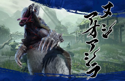 ヌシアオアシラ