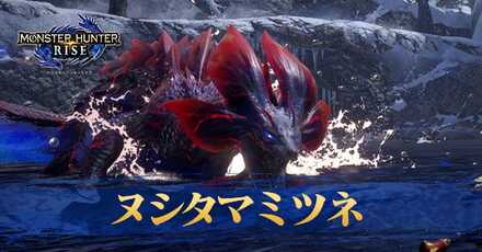 ヌシタマミツネ