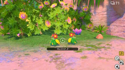 ポケモンが踊りだす