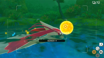 イルミナオーブをミロカロスに当てる