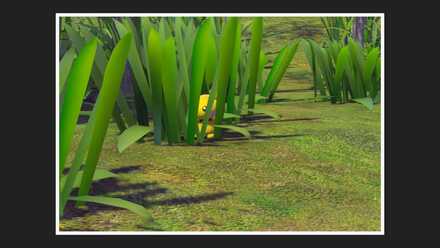 ポケモンスナップswitch ピチューの撮り方と出現場所 ポケスナ ゲームエイト