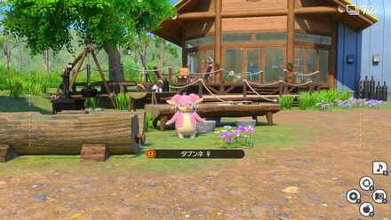 撮影したいポケモンを枠に入れてAボタン