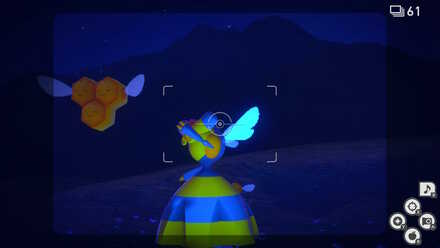 ビークインを撮影する