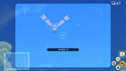 宙返りをしたキャモメを撮影する