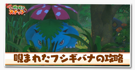 睨まれたフシギバナの攻略