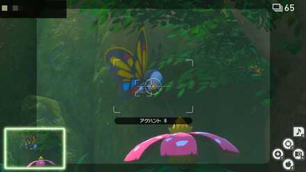 蜜を吸っている所を撮影