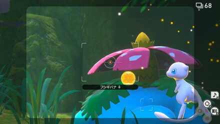 イルミナオーブを投げる