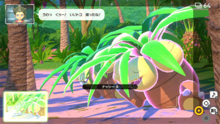 3匹とも寝たら撮影する