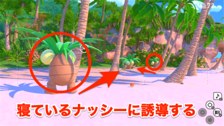 寝ているナッシーに２匹をふわりんごで誘導する