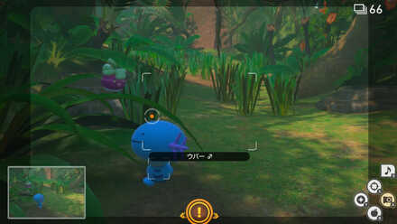 ウパーとアマカジが走っている所を撮影