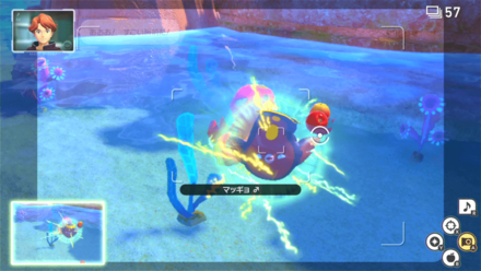 電気ショックを出す瞬間を待って撮影