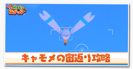 キャモメの宙返りの攻略