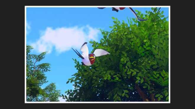 飛んでくるスバメを撮影