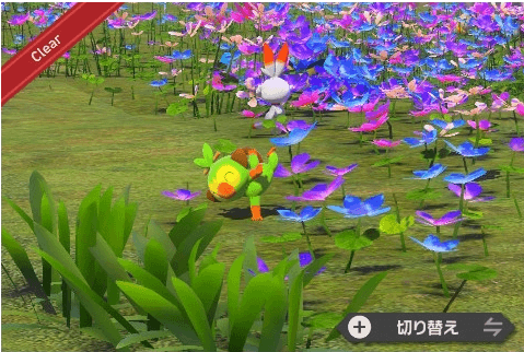 花畑で片腕逆立ちしているサルノリを撮影