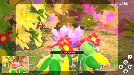 クリスタルフラワーにイルミナオーブを投げる