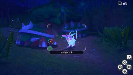 ニンフィアを起こす