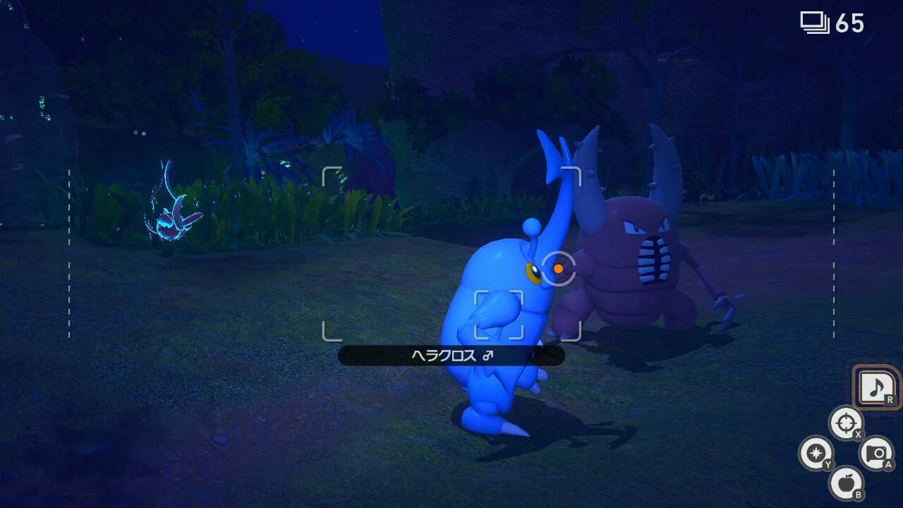 ヘラクロスとカイロスが喧嘩している側で音楽を鳴らす