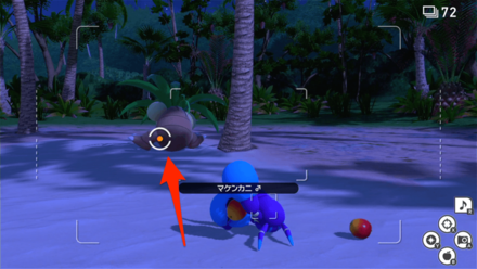 マケンカニをナッシーまで誘導する