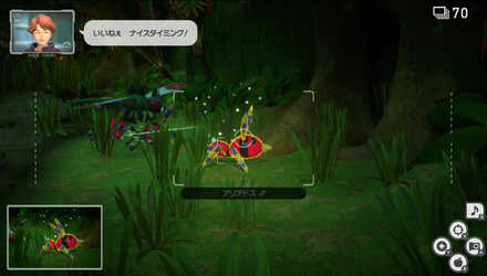 メガヤンマを攻撃しているところを撮影