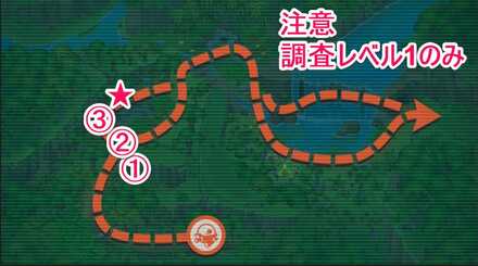 メガヤンマ星4の詳細位置