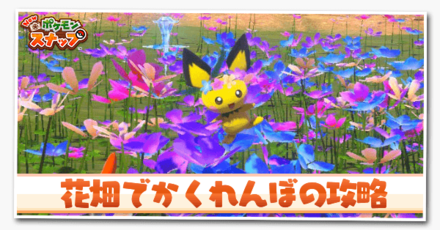 花畑でかくれんぼ